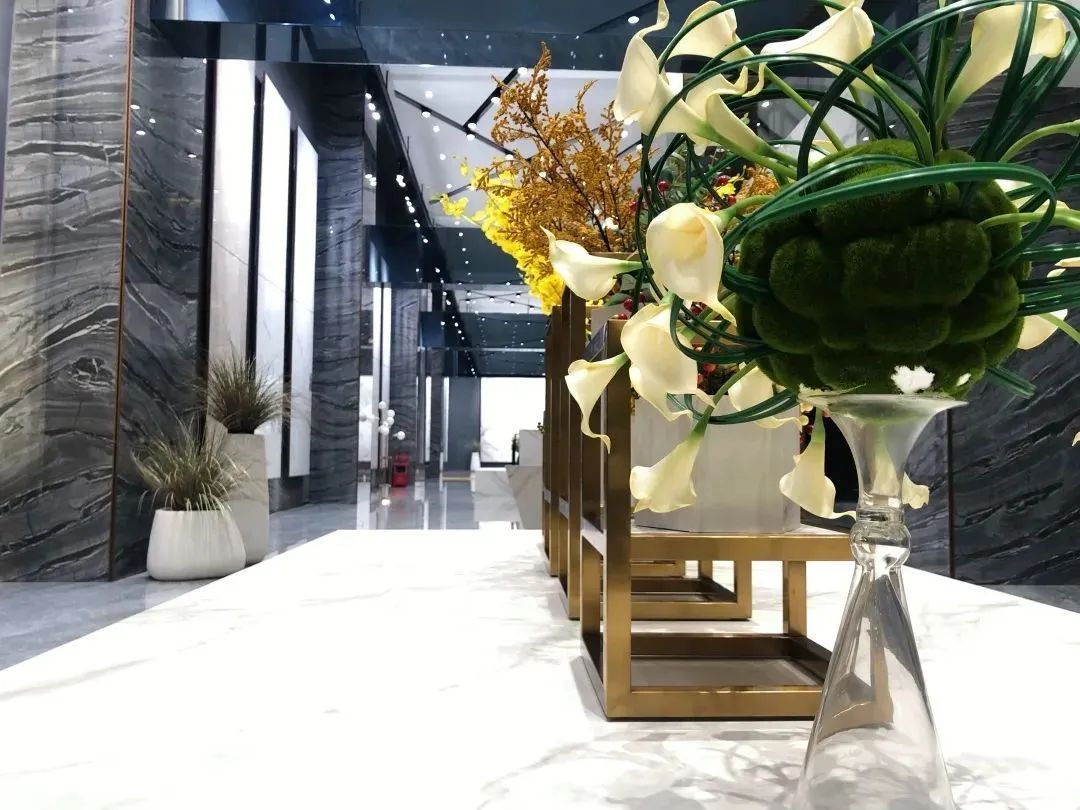 禪城區府辦副主任赴德利豐家居開展調研工作