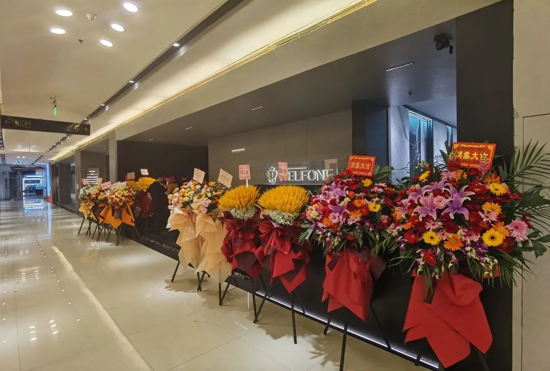 巖下生輝·豐享奢居|德利豐巖板南京旗艦店開業典禮圓滿舉行