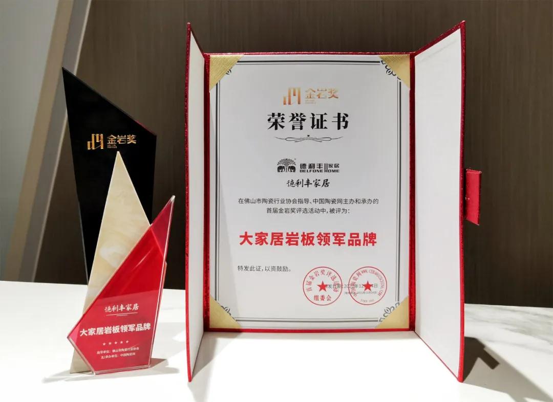 喜訊| 德利豐榮獲“大家居巖板領軍品牌”(圖2)