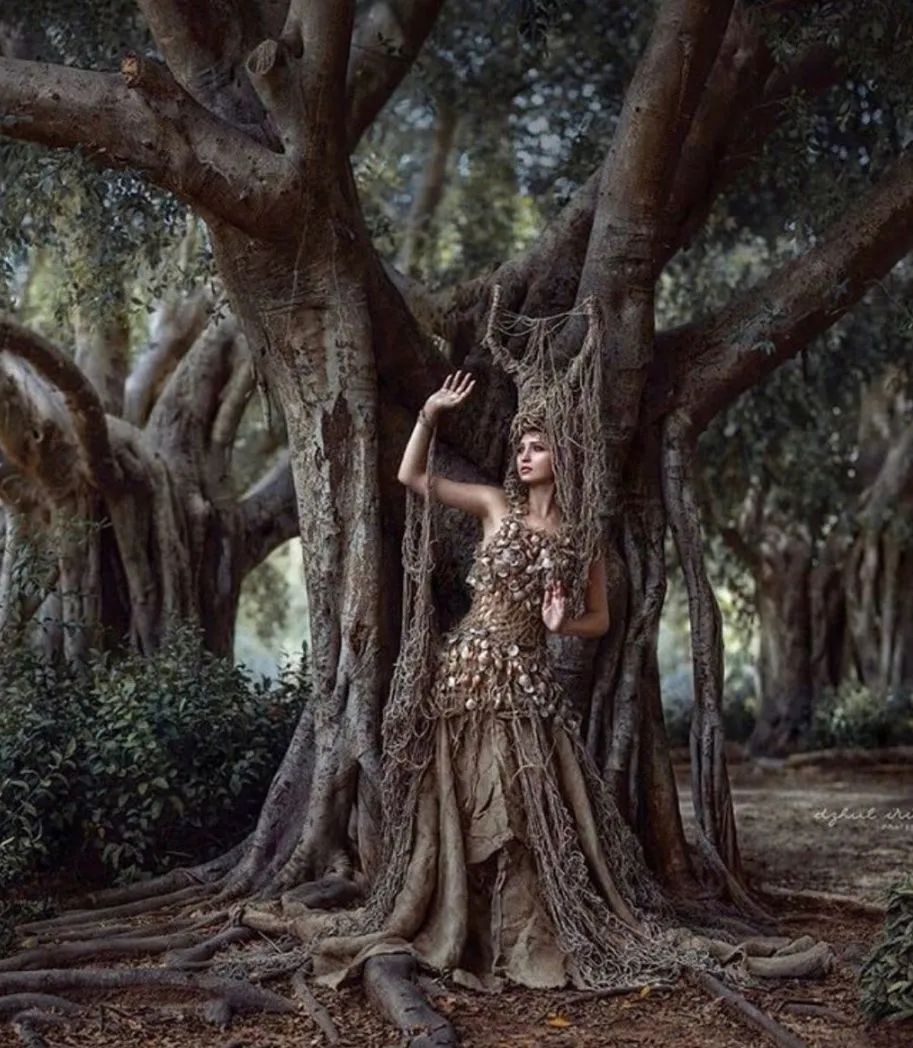 DELFONE奢木系列新品 | 烏金直紋木，與自然形態(tài)共生(圖2)