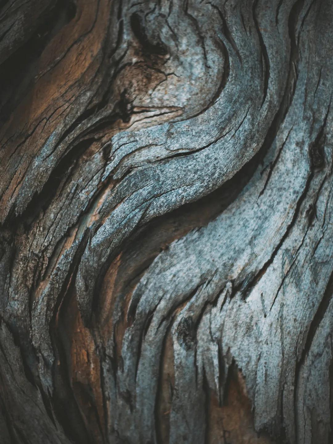 德利豐跨年特輯|跨越2020,2021再攀高峰!(圖1) 德利豐跨年特輯|跨越2020,2021再攀高峰!(圖1)