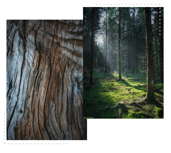 德利豐跨年特輯|跨越2020,2021再攀高峰!(圖8) 德利豐跨年特輯|跨越2020,2021再攀高峰!(圖8)