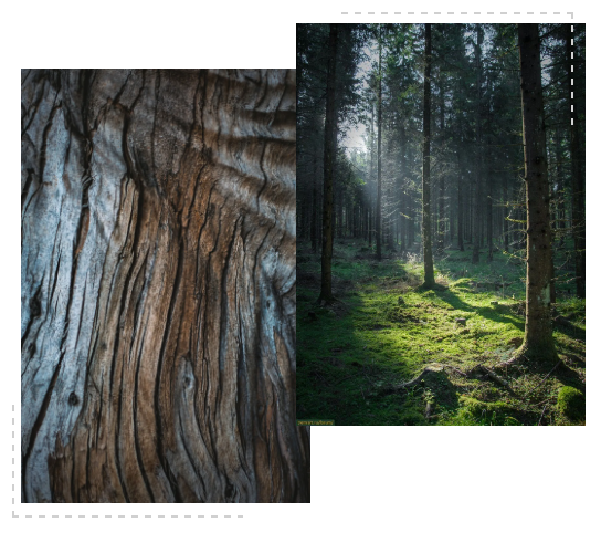 DELFONE奢木系列新品 | 意大利黑胡桃,歷久彌新的溫潤典雅(圖6) DELFONE奢木系列新品 | 意大利黑胡桃,歷久彌新的溫潤典雅(圖6)