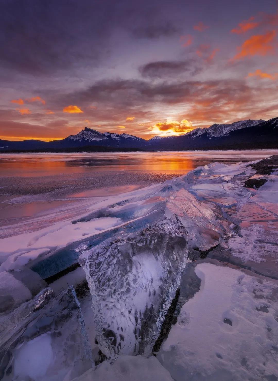 DELFONE新品 | 繁華更迭，續寫卓爾不群的高級居所(圖10)