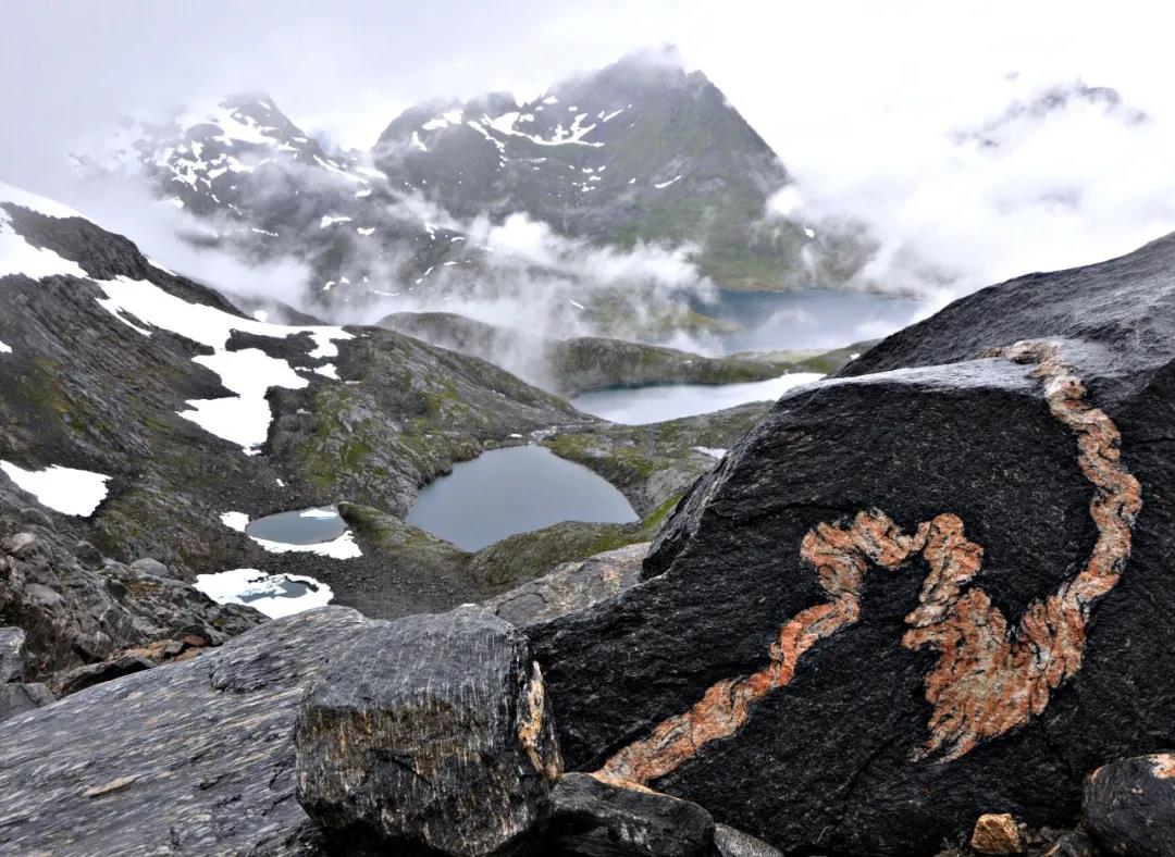 DELFONE新品 | 蝶戀金花驚艷綻放，打造家居空間的超級景觀(圖1)