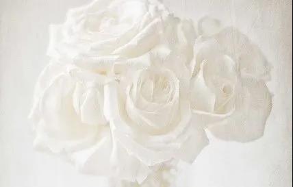 極光白全新升級|多種工藝多個規格,釋放質感張力!(圖3) 極光白全新升級|多種工藝多個規格,釋放質感張力!(圖3)