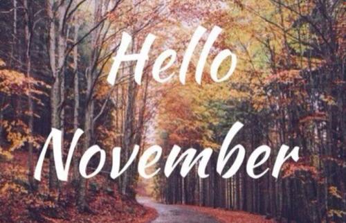 1分鐘，回顧德利豐11月大事記！！