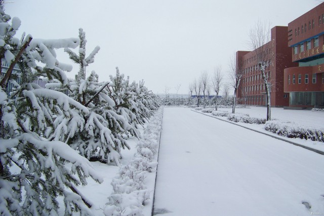 大雪入冬，這邊卻刮起了“火熱風暴”(圖3)