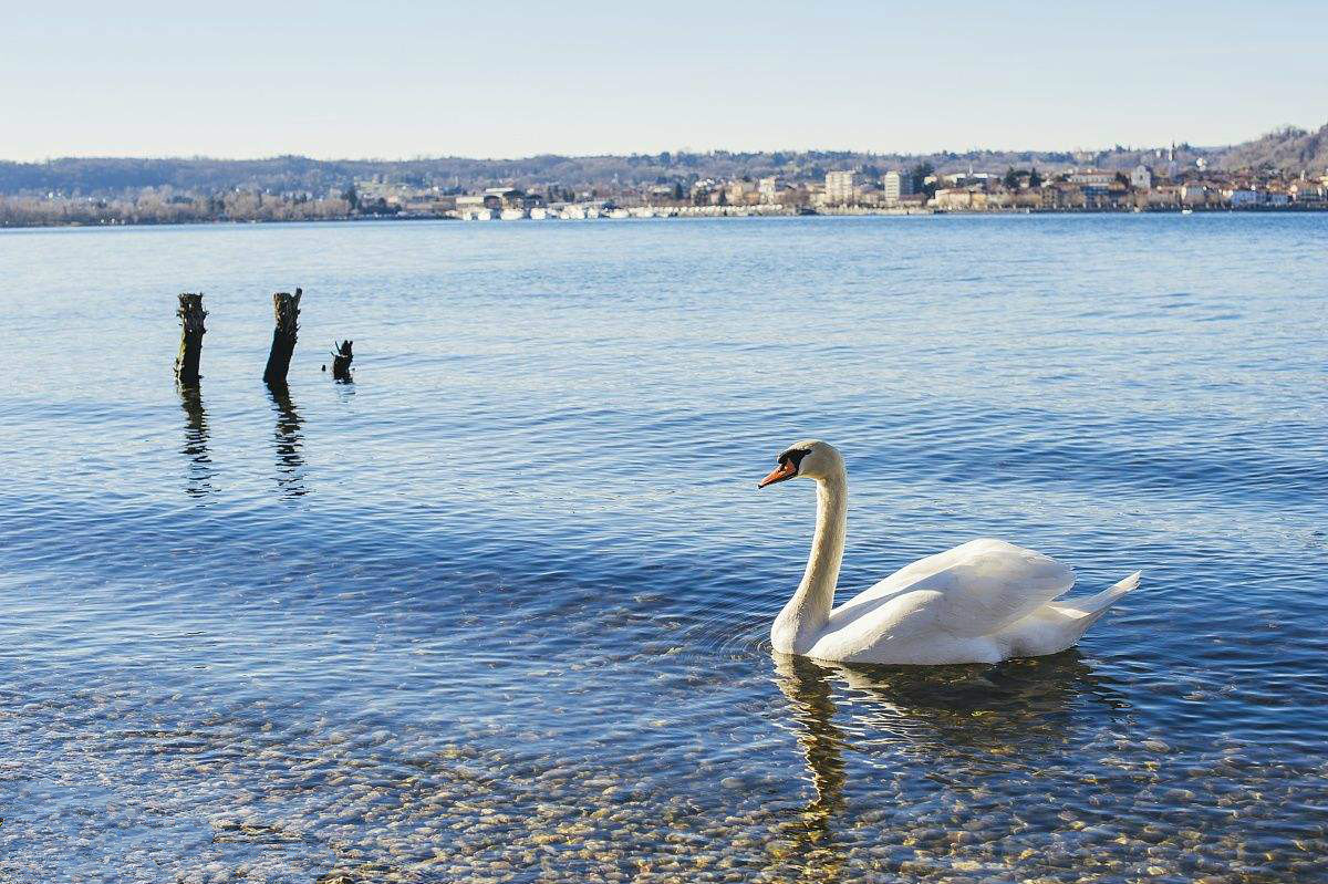 最美風景在路上|傾聽絕美湖景的耳語(圖3)