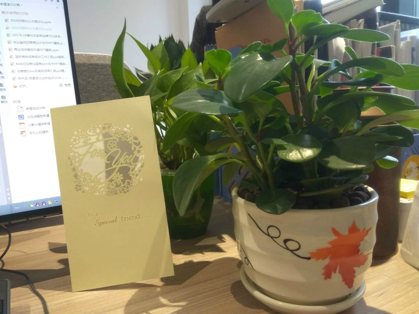 女神節|春風桃花十里，不如美麗的你(圖6)