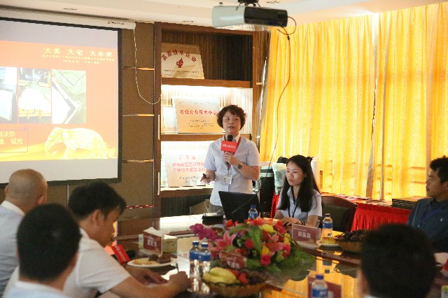 共襄盛舉丨大美·大宅·大未來!德利豐家居云浮(圖13) 共襄盛舉丨大美·大宅·大未來!德利豐家居云浮(圖13)