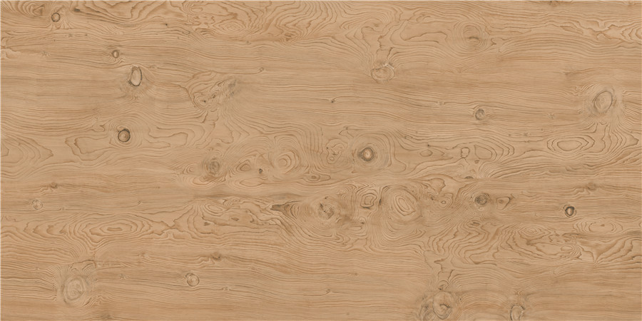 【新品品鑒】金絲楠—賞新悅木，本色生活(圖3)