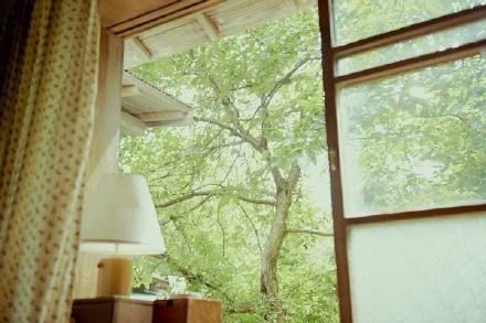 產品鑒賞 | 莎羅藍—— 忘不掉你深邃的眼眸(圖1)