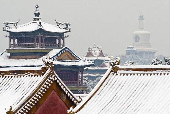 新品品鑒|東方傲雪 以雪為墨,繪就一抹遺世獨(圖5) 新品品鑒|東方傲雪 以雪為墨,繪就一抹遺世獨(圖5)