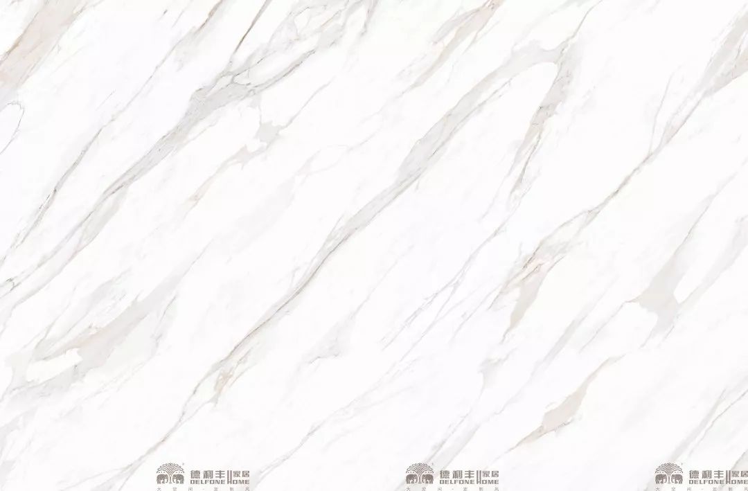 魚肚金為什么名貴？揭秘產品背后的故事(圖5)