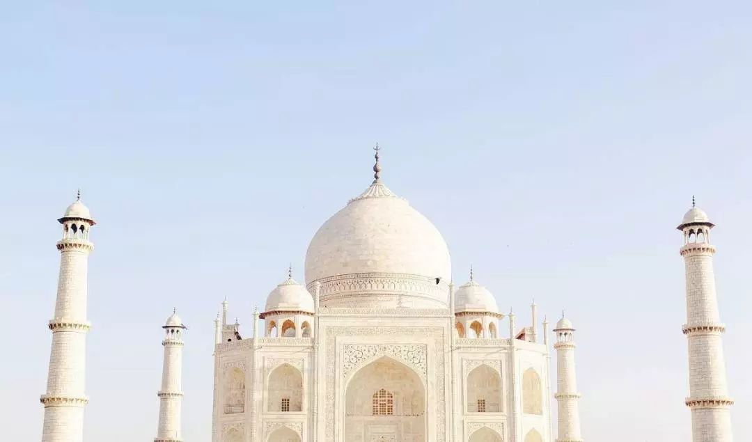 魚肚金為什么名貴？揭秘產品背后的故事(圖2)