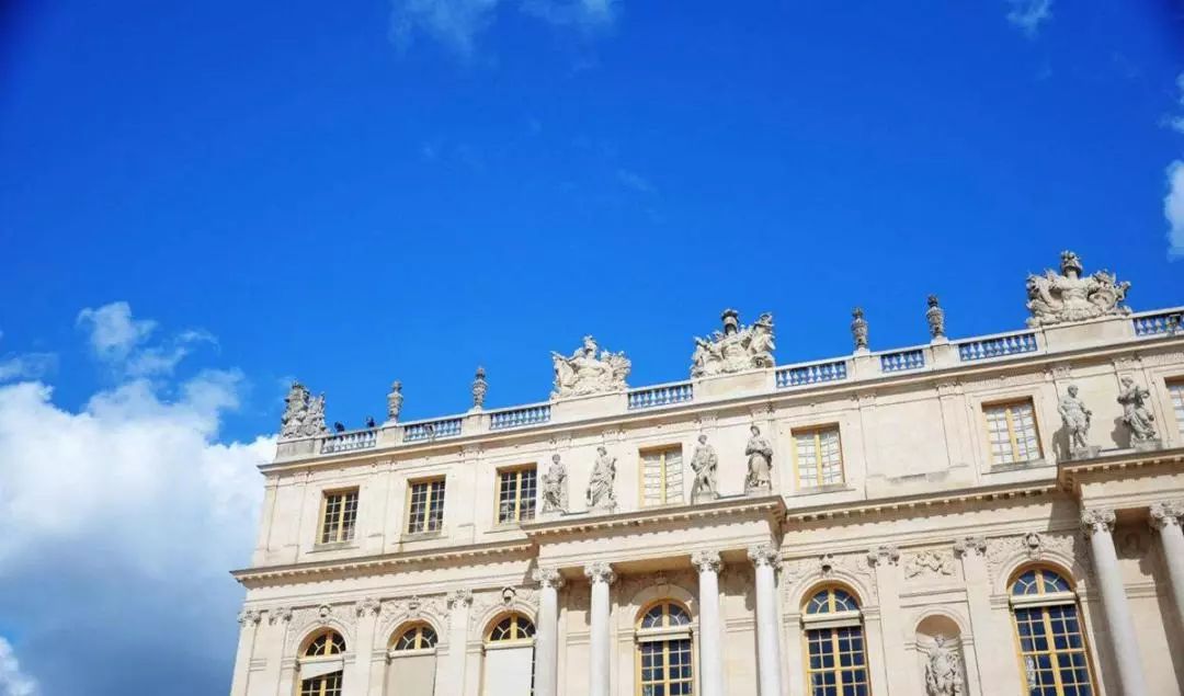 魚肚金為什么名貴？揭秘產品背后的故事(圖3)