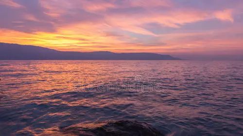 魚肚金為什么名貴？揭秘產品背后的故事(圖7)