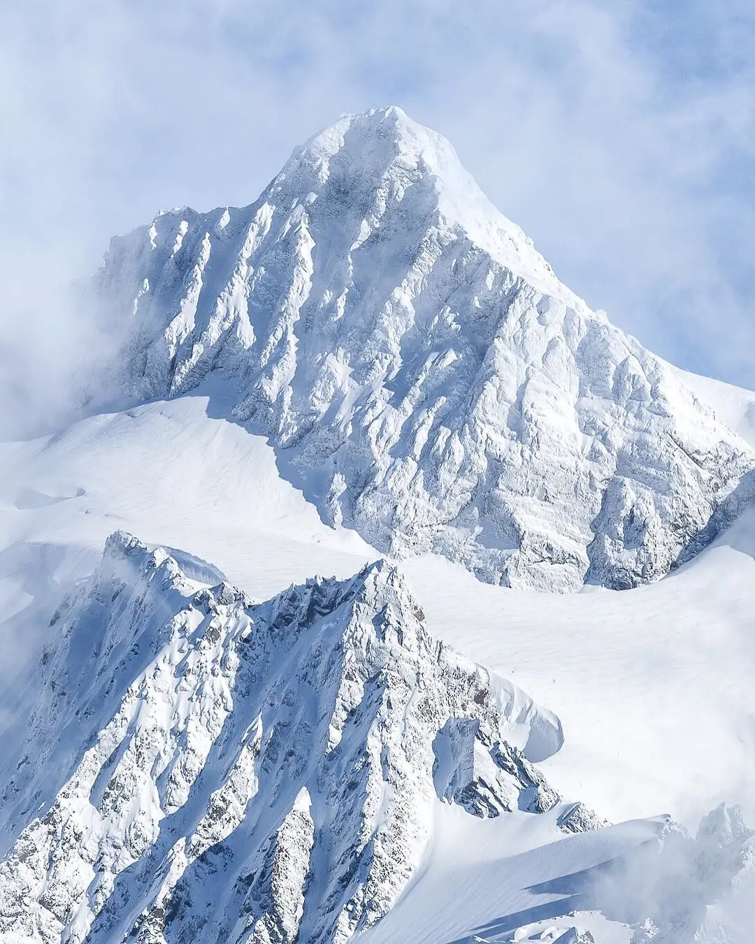 DELFONE新品 | 沃野千里，六片任意無限連紋，打造連貫壯麗的空間景觀(圖3)